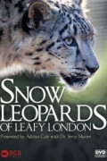 Snow Leopards Of Leafy London