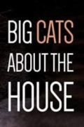 Big Cats About the House